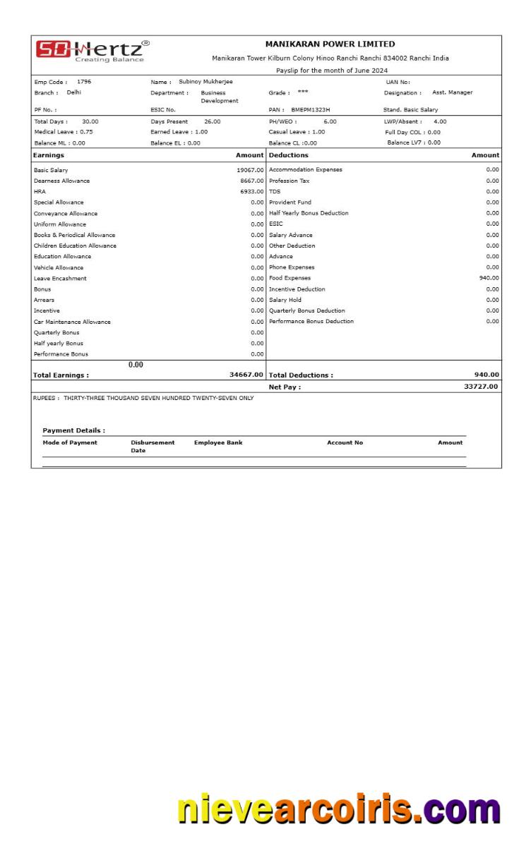 Manikaran Power payslip